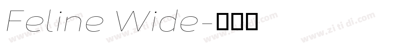 Feline Wide字体转换